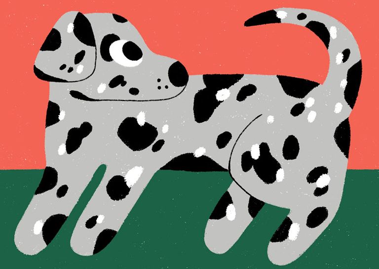 dog_red